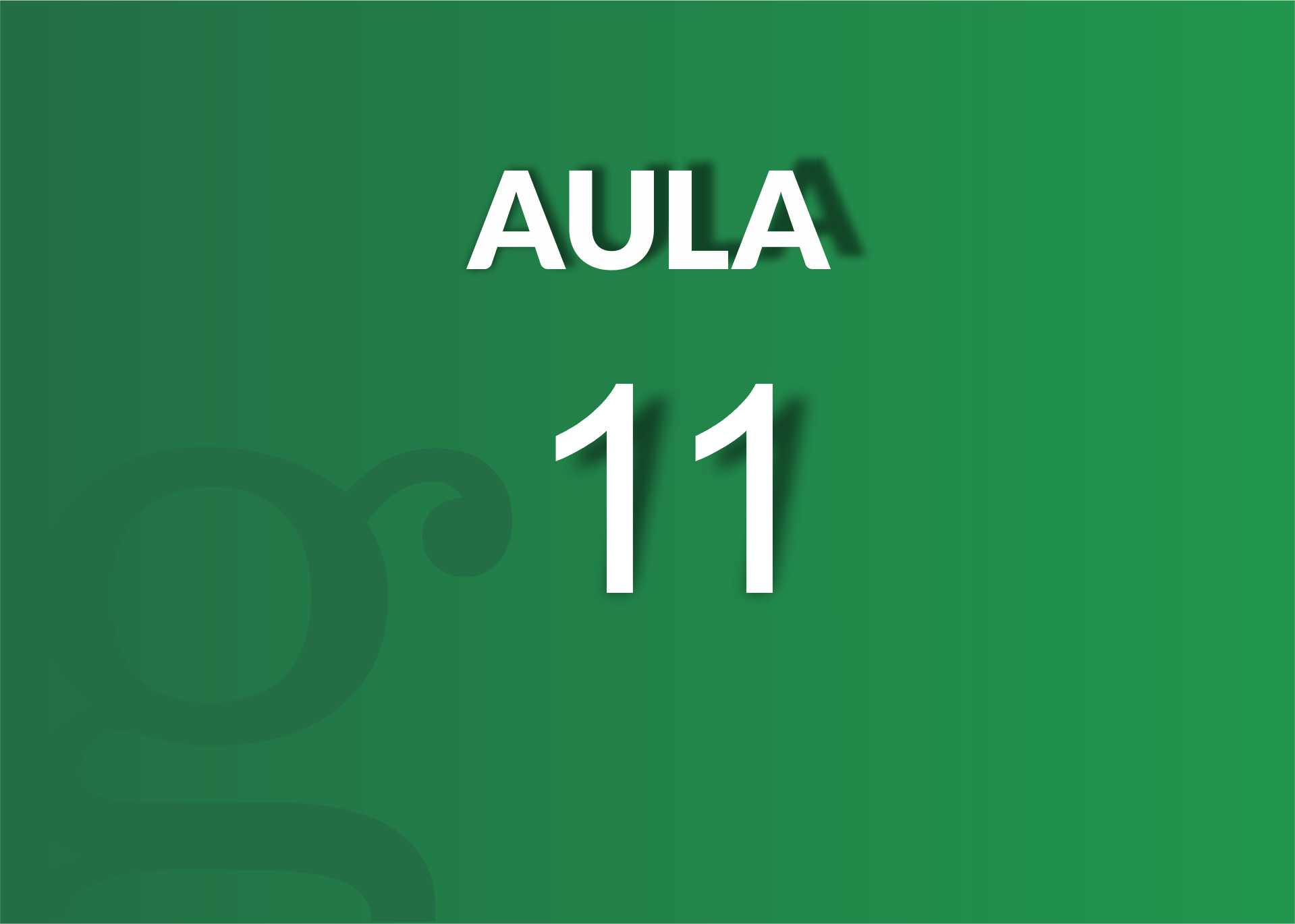 AULA 11 - Taller sobre perspectiva de género - Neuquén 2020