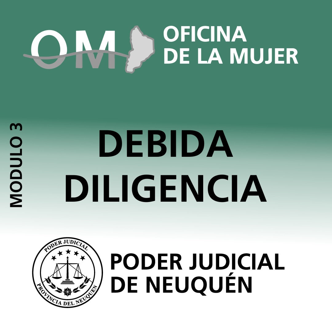 Taller DEBIDA DILIGENCIA Zapala 2025